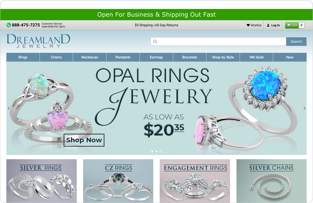 Case Study - Dreamland Jewelry