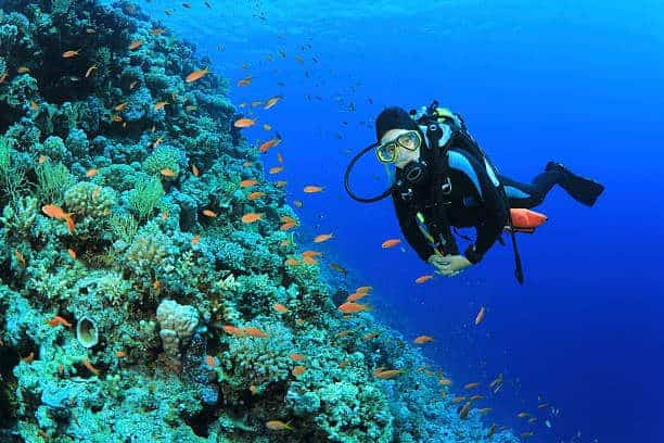 All You Want to Know About Scuba Diving