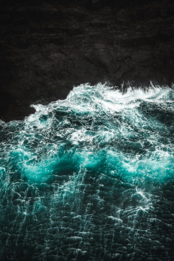 Bioluminescence Kayaking: Paddling Through Nature's Enchanted Light Show 6 Ocean plankton producing bioluminenscence light at night