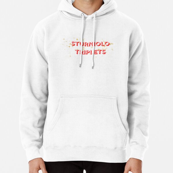 Sturniolo sturniolo sturniolo Triplets State    Pullover Hoodie RB1412 product Offical sturniolo triplets Merch