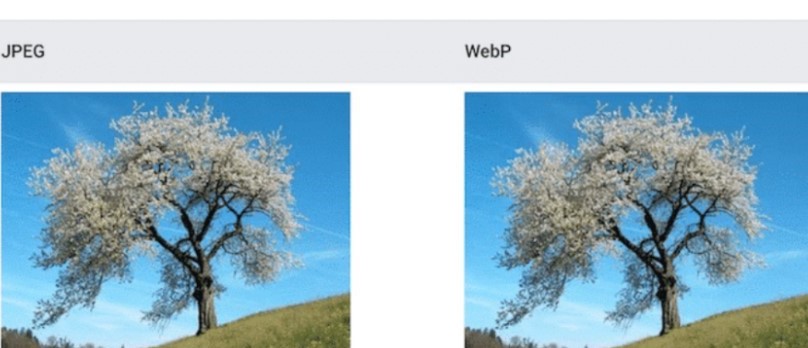 JPG to webp