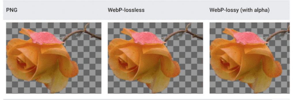 Next-Gen Formats