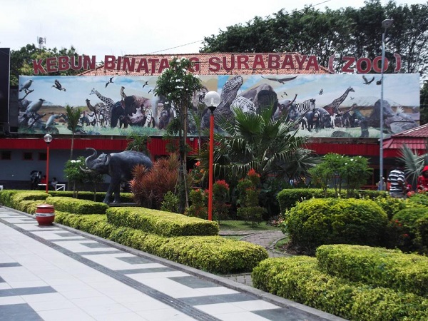 Bonbin Surabaya