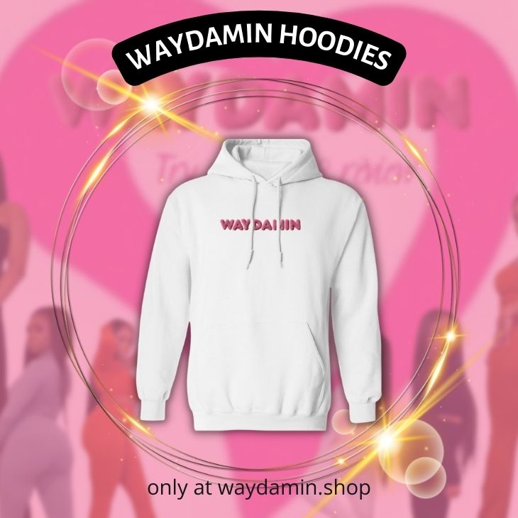 Waydamin Shop - Official Waydamin Merchandise Store