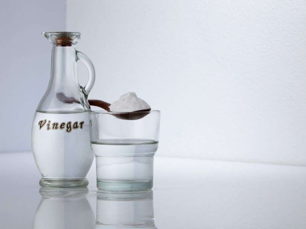 Does White Vinegar Get Rid Of Mice? BioTech Termite & Pest Control