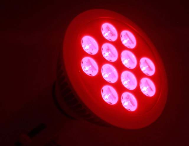 Usos muy interesantes de la luz infrarroja - Blog de iluminación -  Lamparas.es