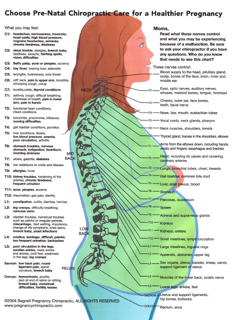 Back pain during pregnancy? How a Chiro can help you