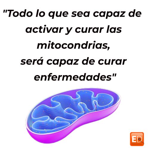 Respondemos 5 dudas habituales sobre magnetoterapia domiciliaria