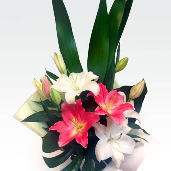 Order Fresh Flowers Online Flower Delivery Perth