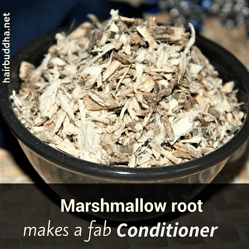 How To Make Conditioner At Home (With One Herb) hair buddha