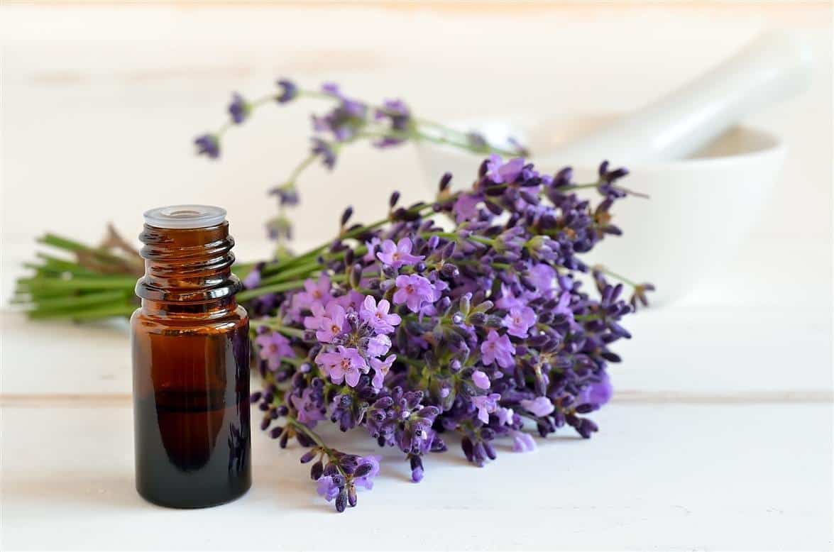 4 Benefits Of Lavender Oil For Hair How To Use And Diy Hair Oil Recipe Hair Buddha 4730