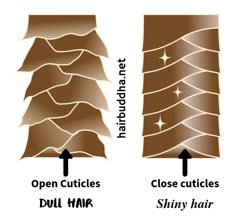 Apple Cider Vinegar Hair Rinse 6 Amazing Benefits and How to Make It