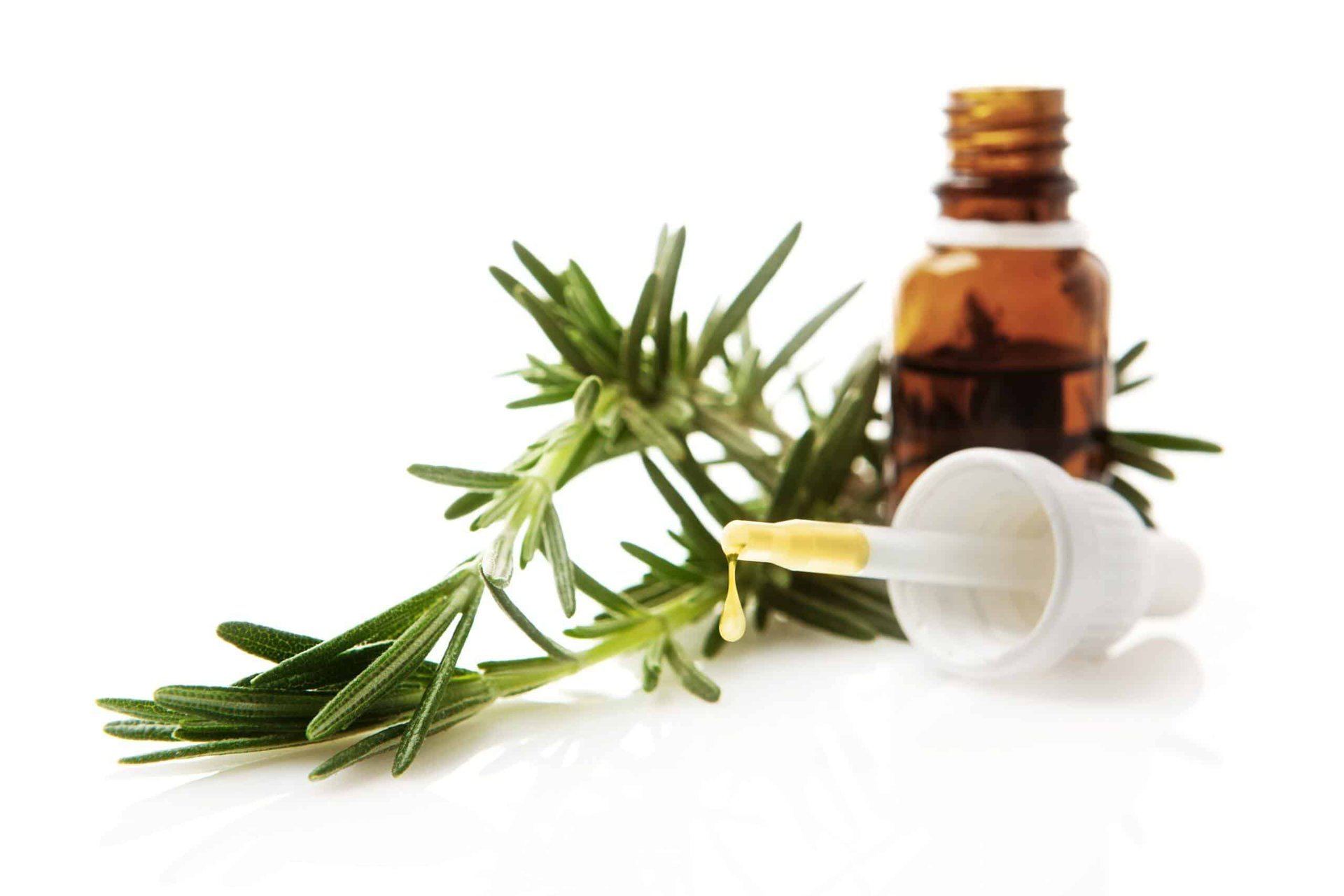 how to use rosemary oil for hair growth