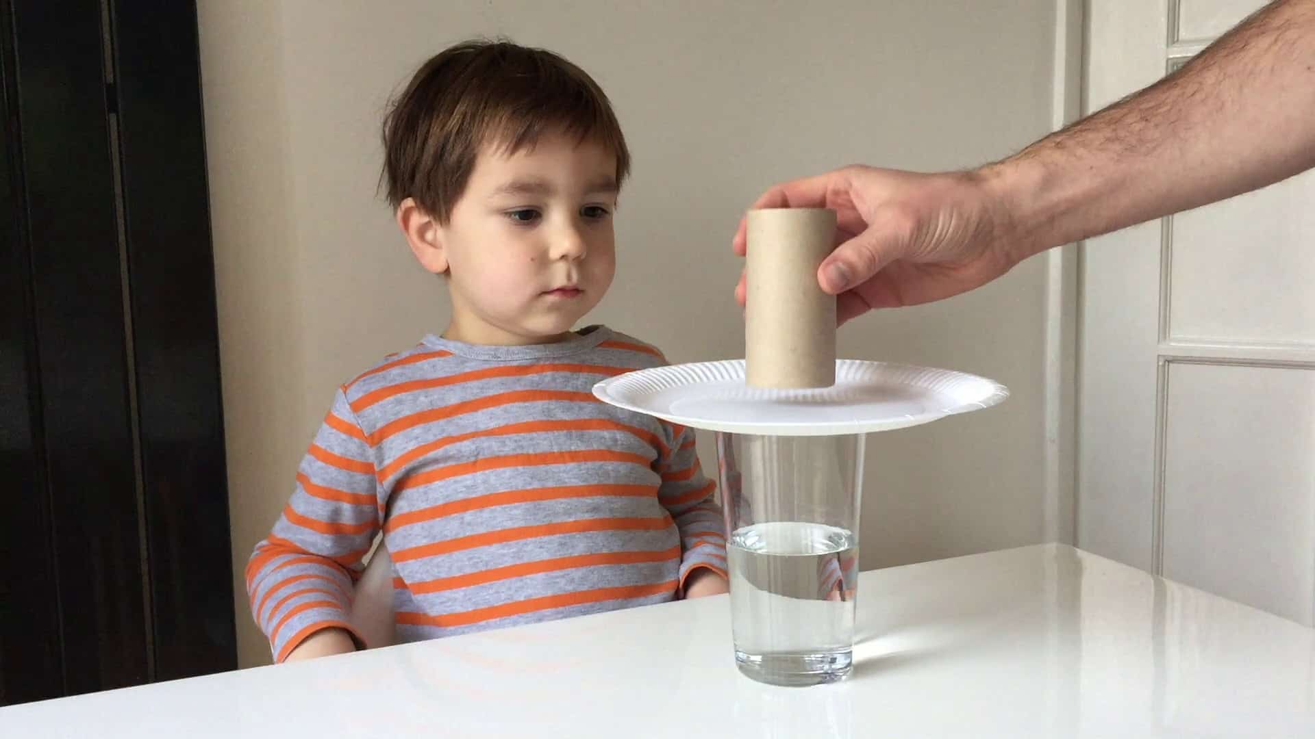 egg drop experiment cardboard