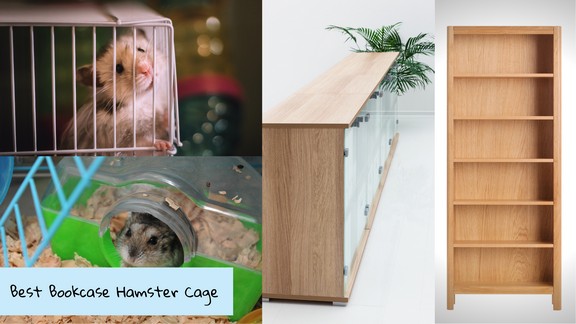 Bookcase hamster outlet cage