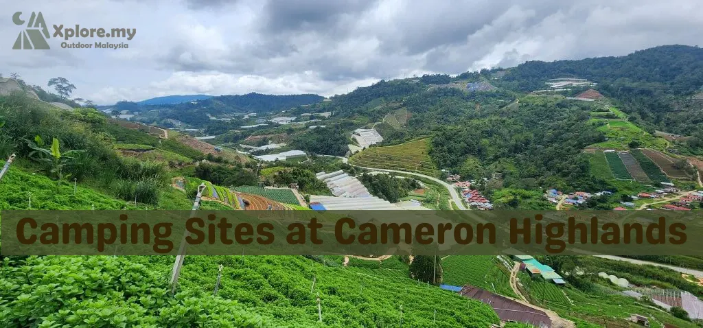 camping sites at cameron highland