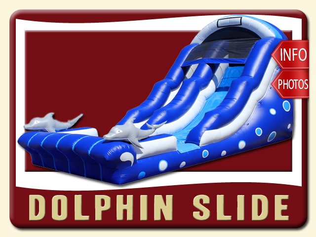 Dolphin Water Slide Rental, pool, Inflatable, Blue, White