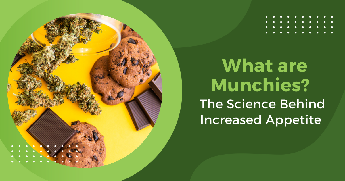 What are Munchies? The Science Behind Increased Appetite