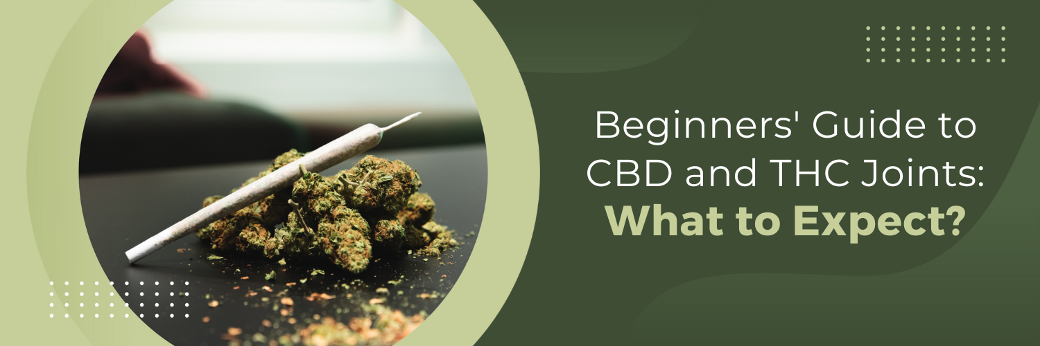 Beginners' Guide to CBD and THC Joints: What to Expect?