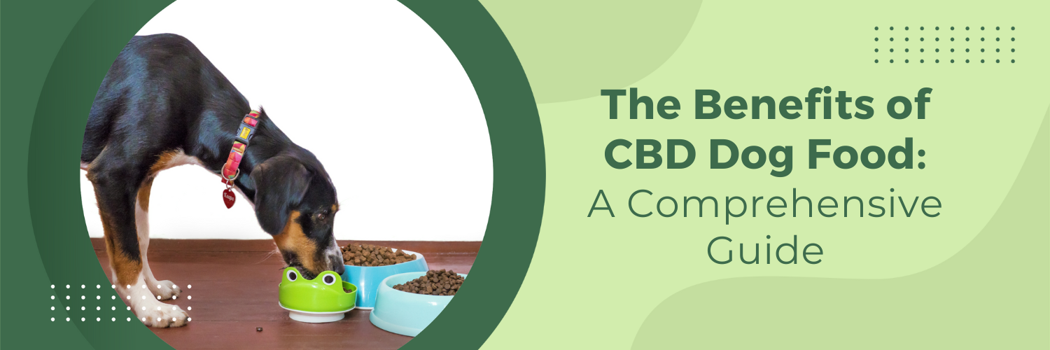 The Benefits of CBD Dog Food: A Comprehensive Guide