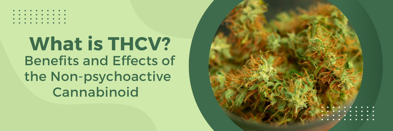 What is THCV? Benefits and Effects of the Non-Psychoactive Cannabinoid
