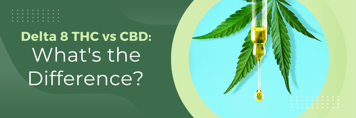 Delta 8 THC vs CBD: What's the Difference?