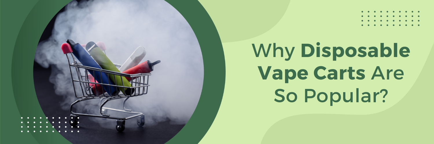Why Disposable Vape Carts Are So Popular?