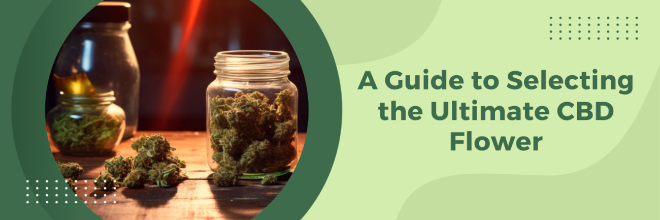 A Guide to Selecting the Ultimate CBD Flower