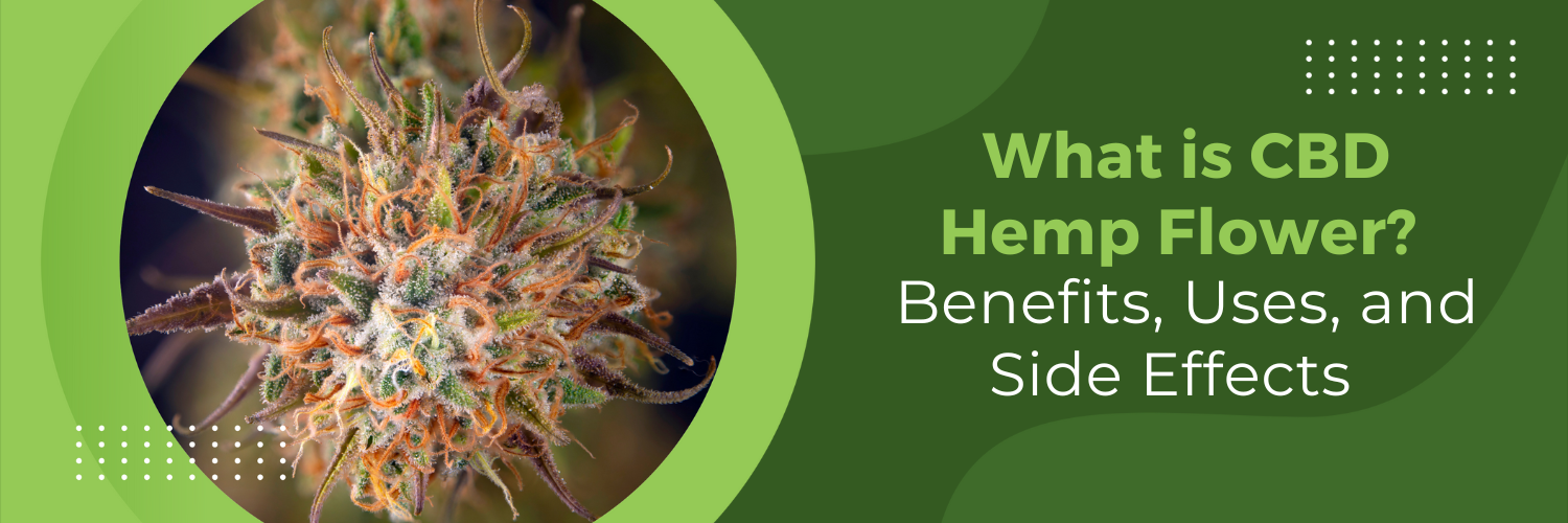 What is CBD Hemp Flower? Benefits, Uses, and Side Effects