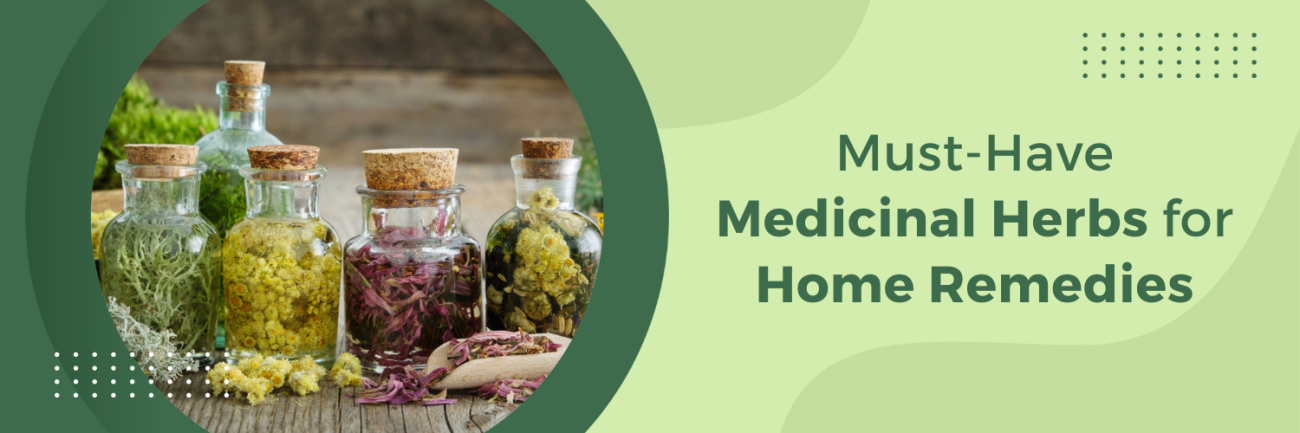 Must-Have Medicinal Herbs for Home Remedies