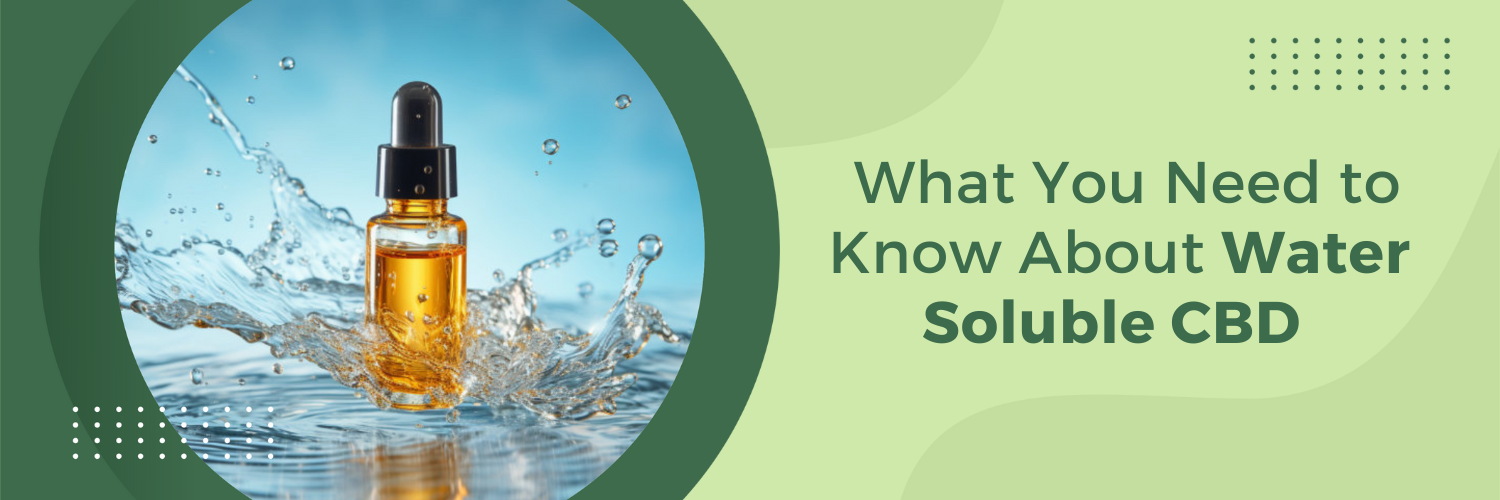 What You Need to Know About Water Soluble CBD