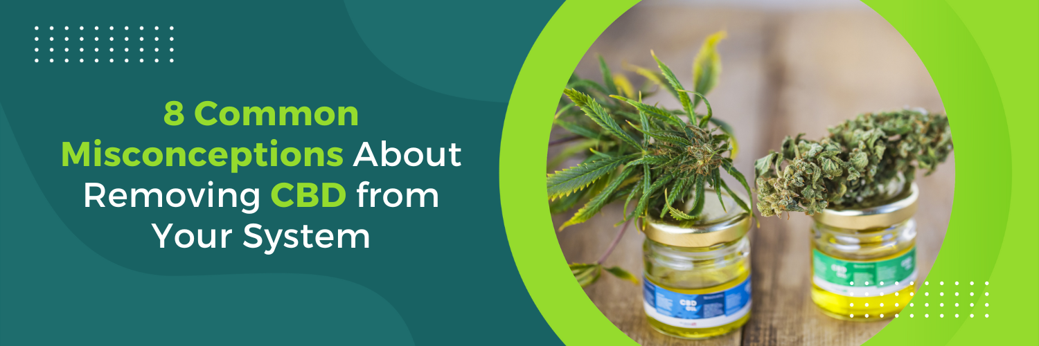 8 Common Misconceptions About Removing CBD from Your System